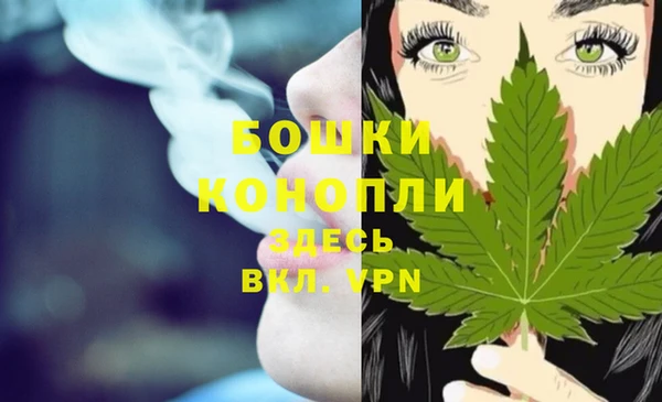 тгк Няндома