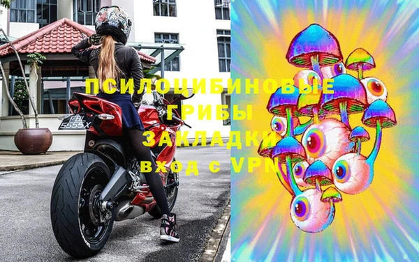 гидра Новозыбков