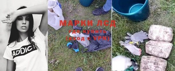 гидра Новозыбков