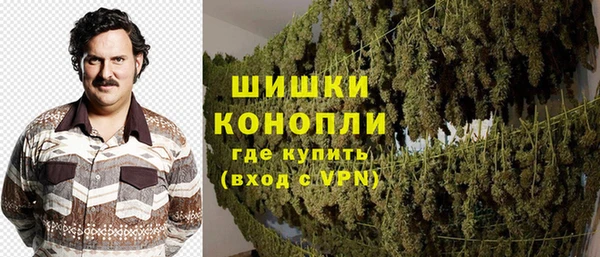 гидра Новозыбков