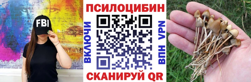 где купить наркоту  Кимовск  Псилоцибиновые грибы Psilocybe 