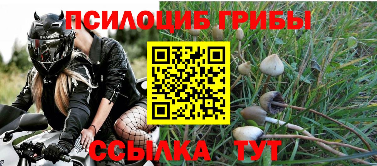 Кимовск  наркошоп  Вход с VPN  Галлюциногенные грибы мицелий 
