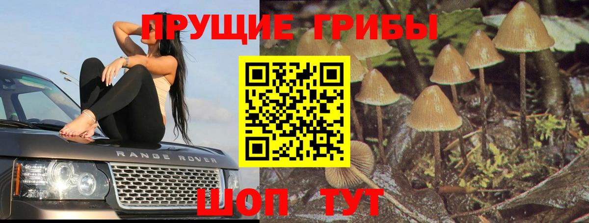 Галлюциногенные грибы MAGIC MUSHROOMS Кимовск